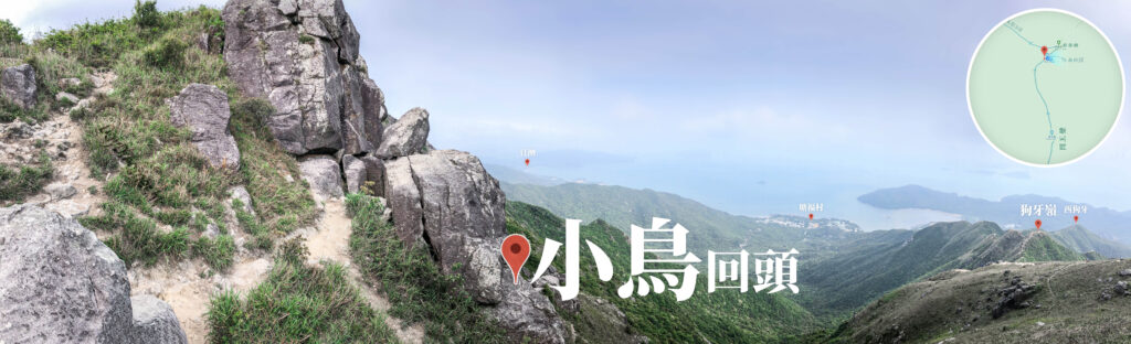 小鳥回頭《叄》