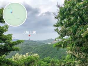 遠觀 • 大佛《壹》