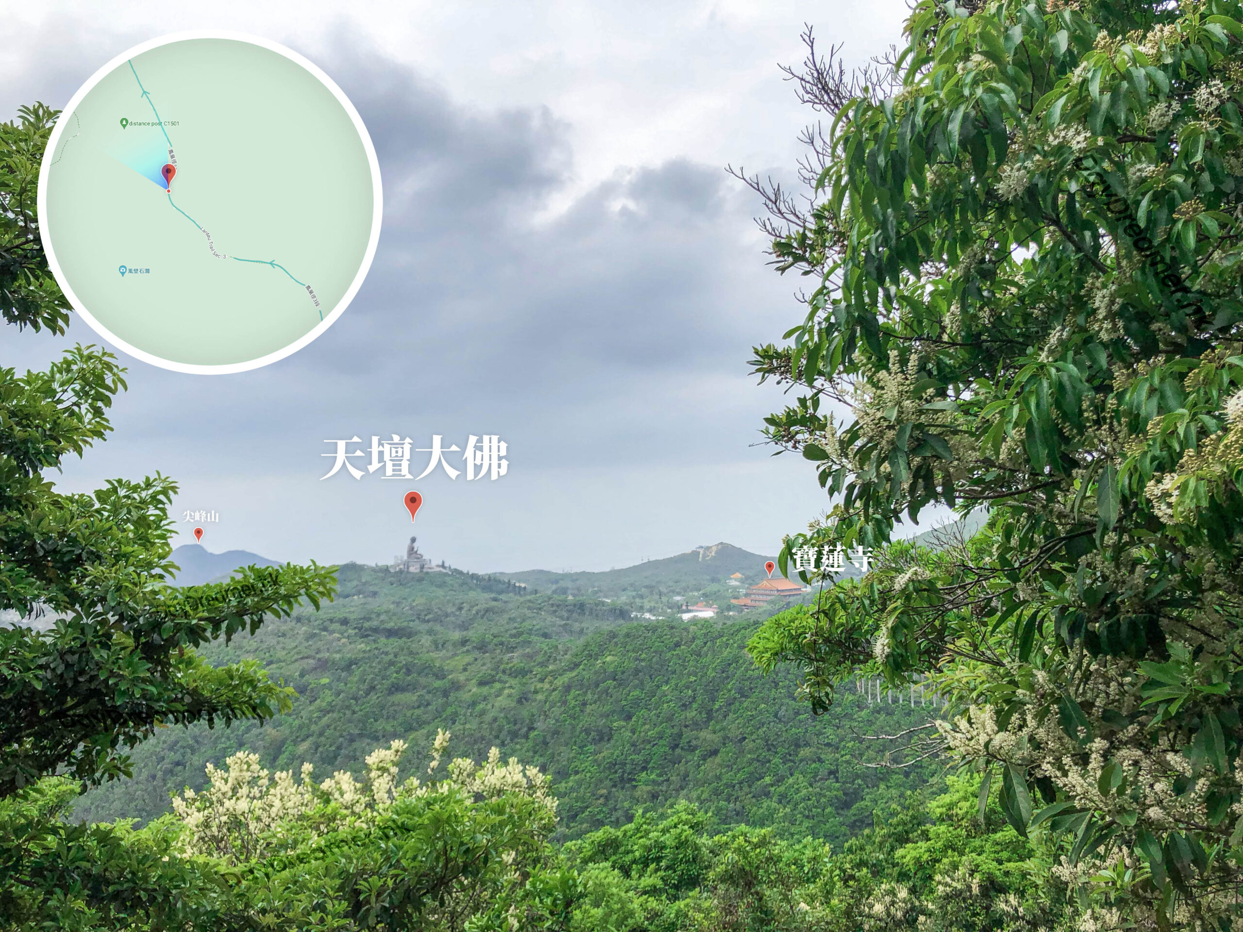 遠觀 • 大佛《壹》