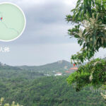 遠觀 • 大佛《貳》