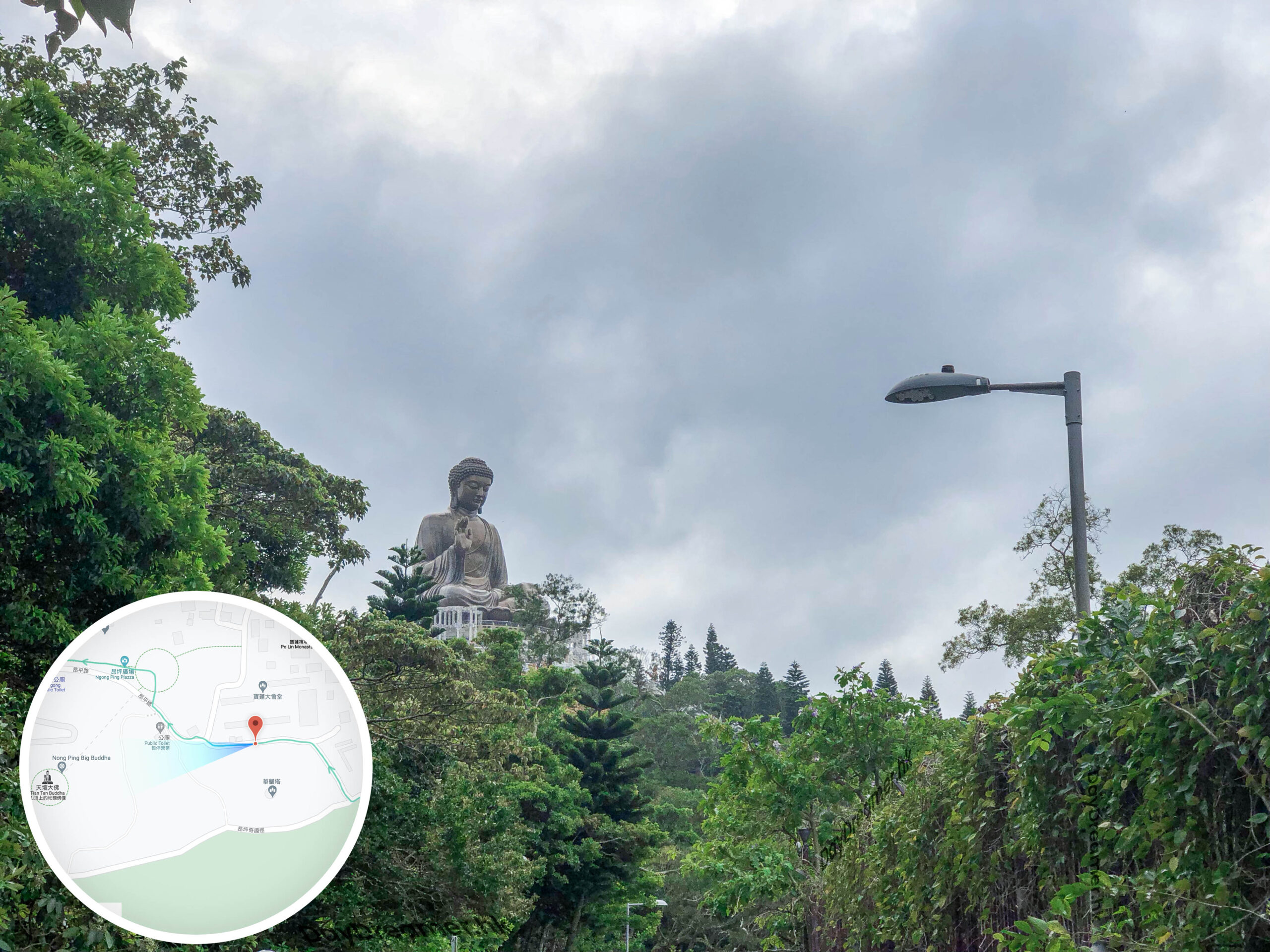 仰望 • 大佛《叄》