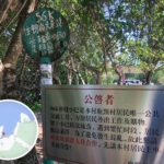 56K 小巴 • 總站