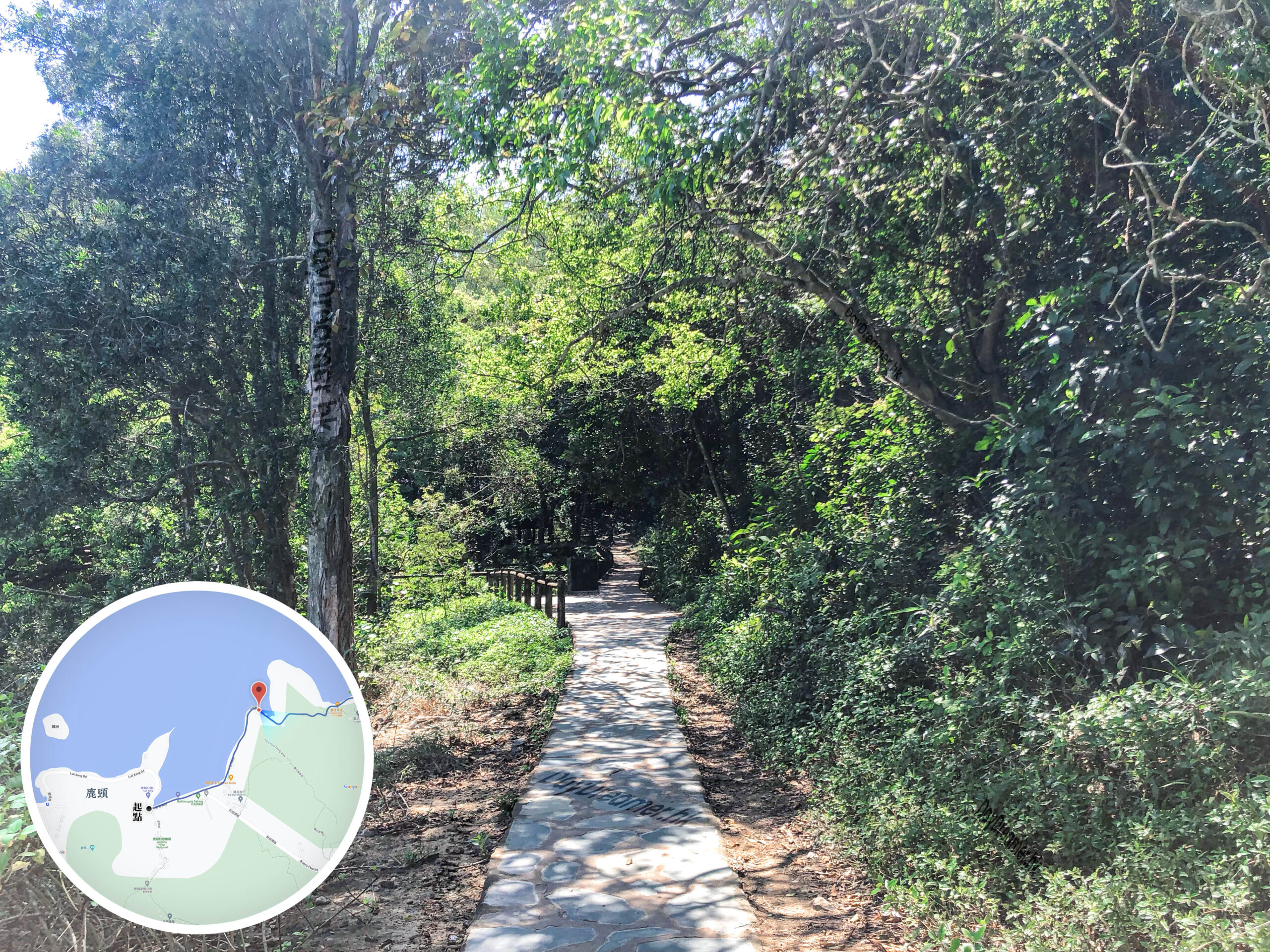 吊燈籠徑《貳》