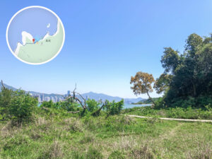 吊燈籠徑《伍》