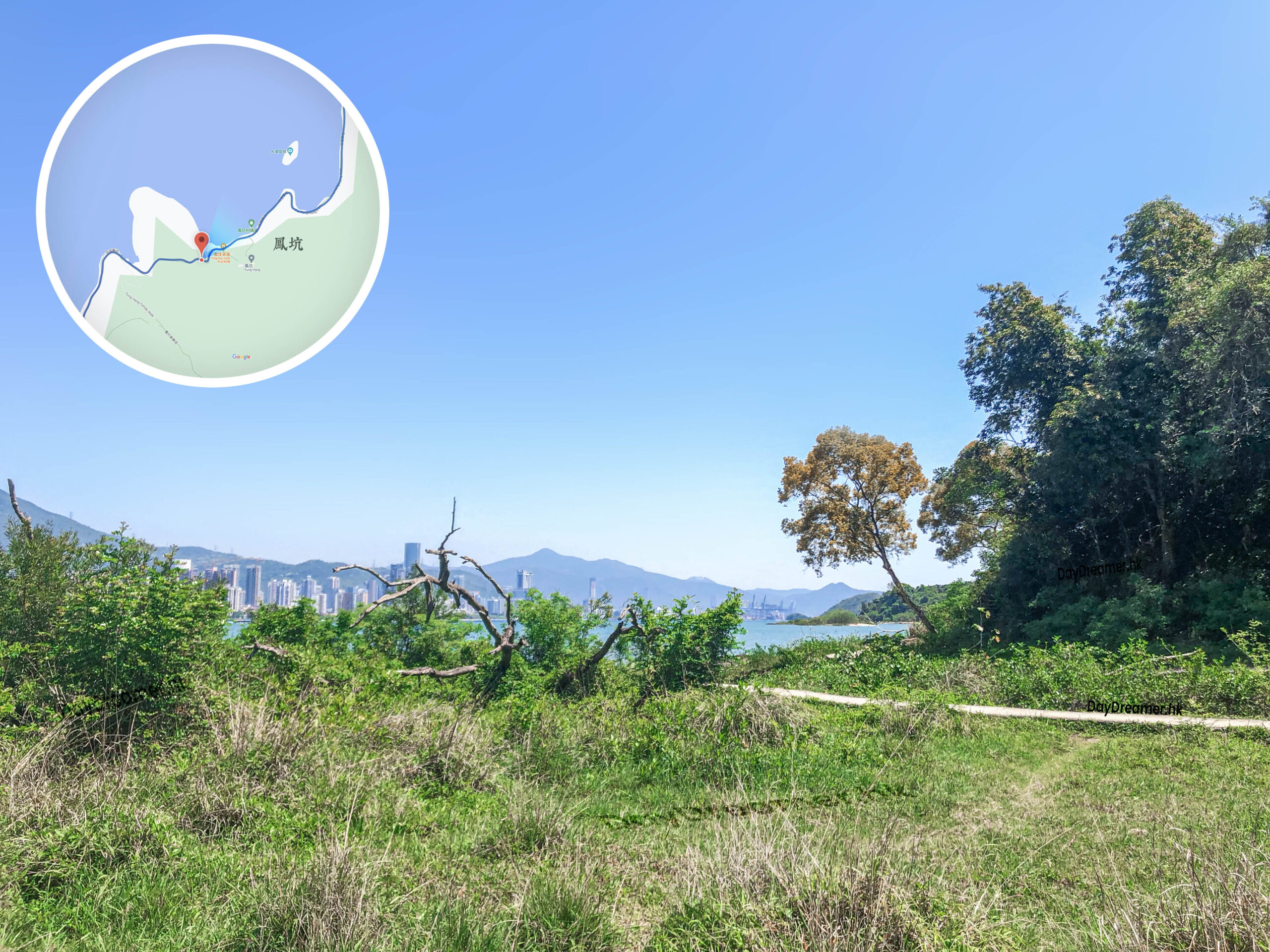 吊燈籠徑《伍》