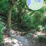 長排頭徑《叄》