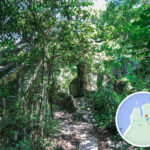 榕樹凹村 • 村口