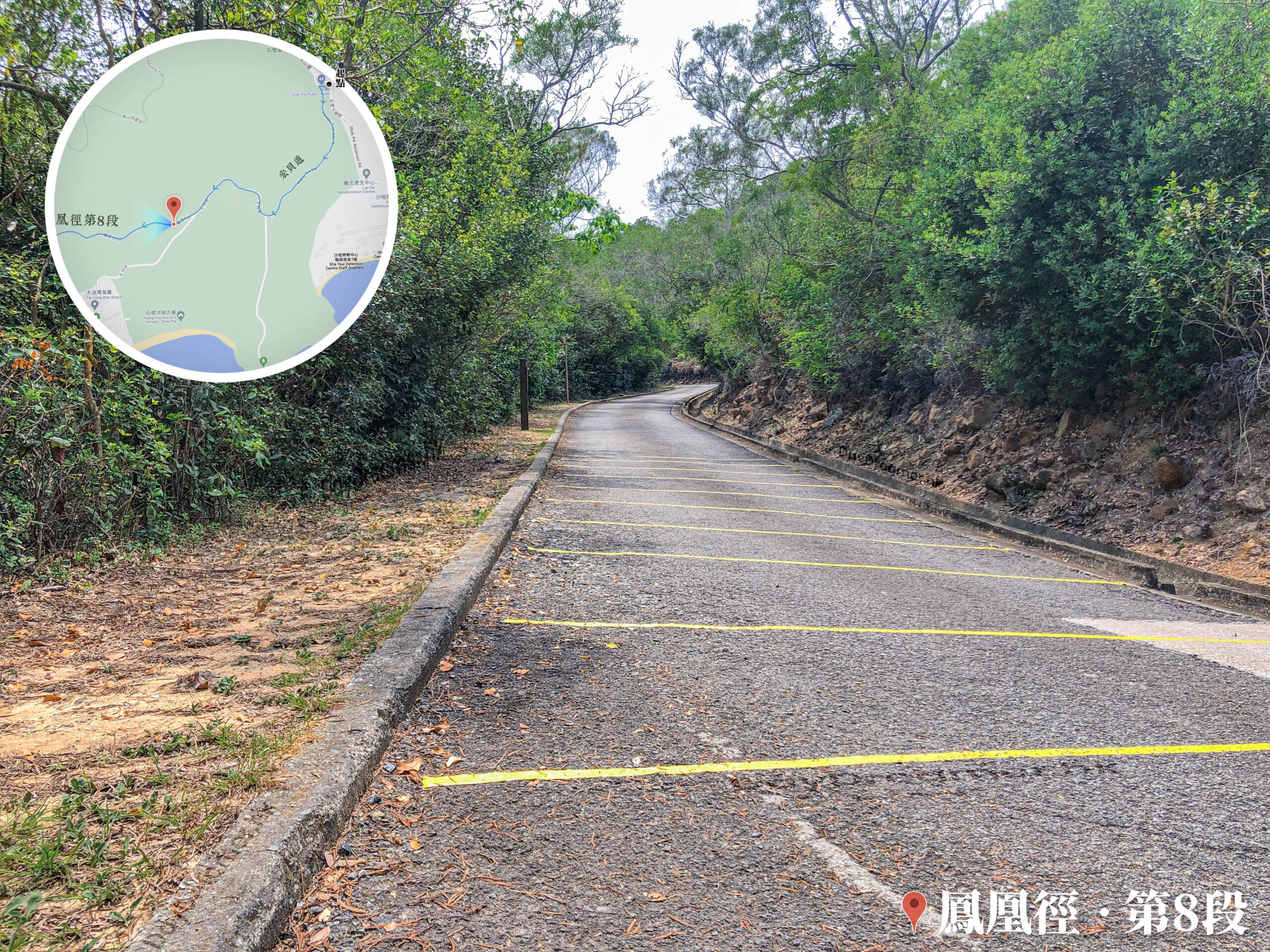 鳳凰徑第8段《貳》