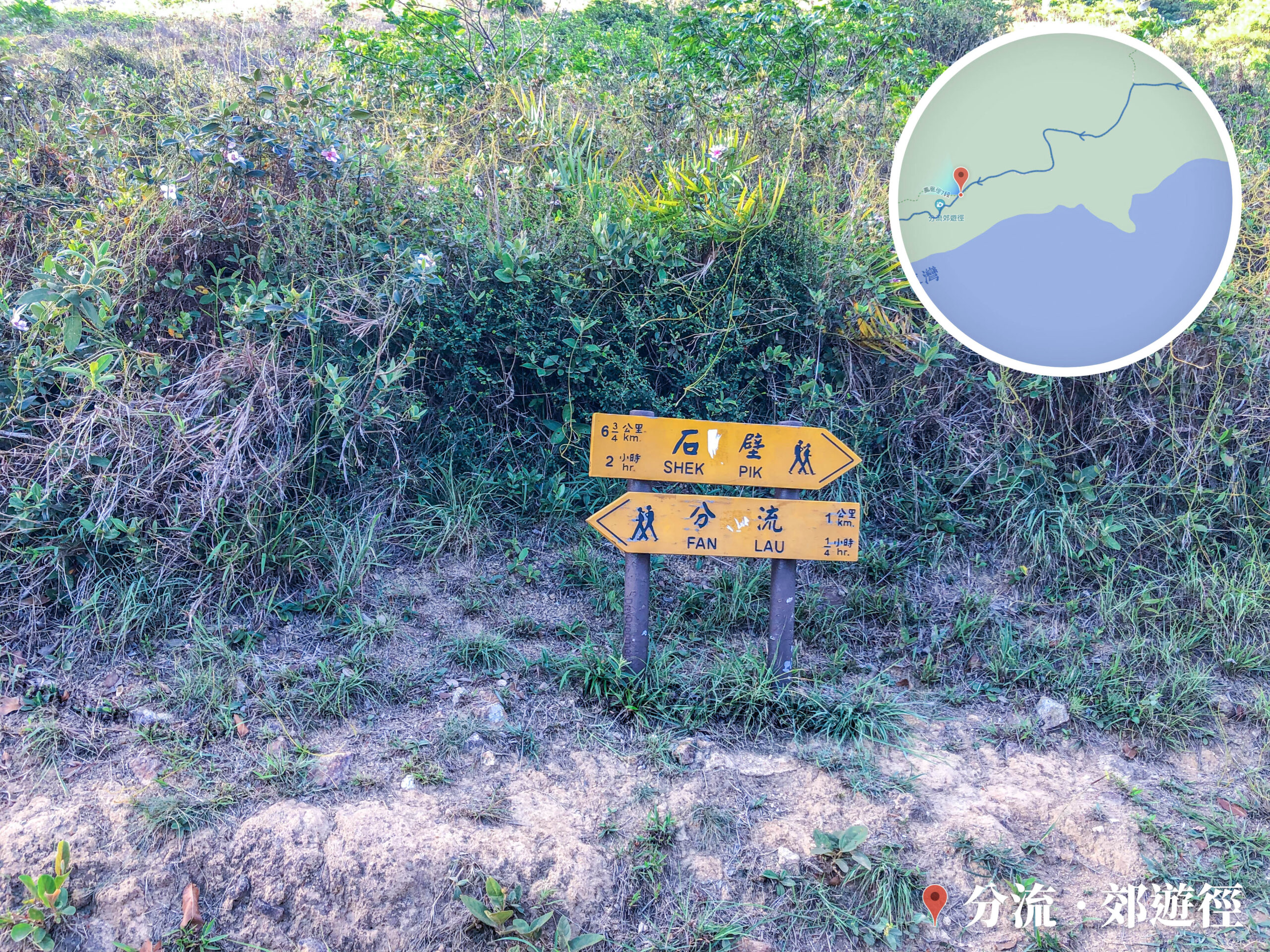 分流 • 路牌《叁》