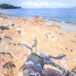 分流 • 東灣《壹》 • 石頭🪨《叁》