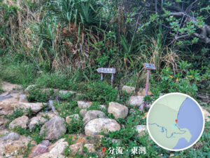 分流炮台 • 路牌《壹》