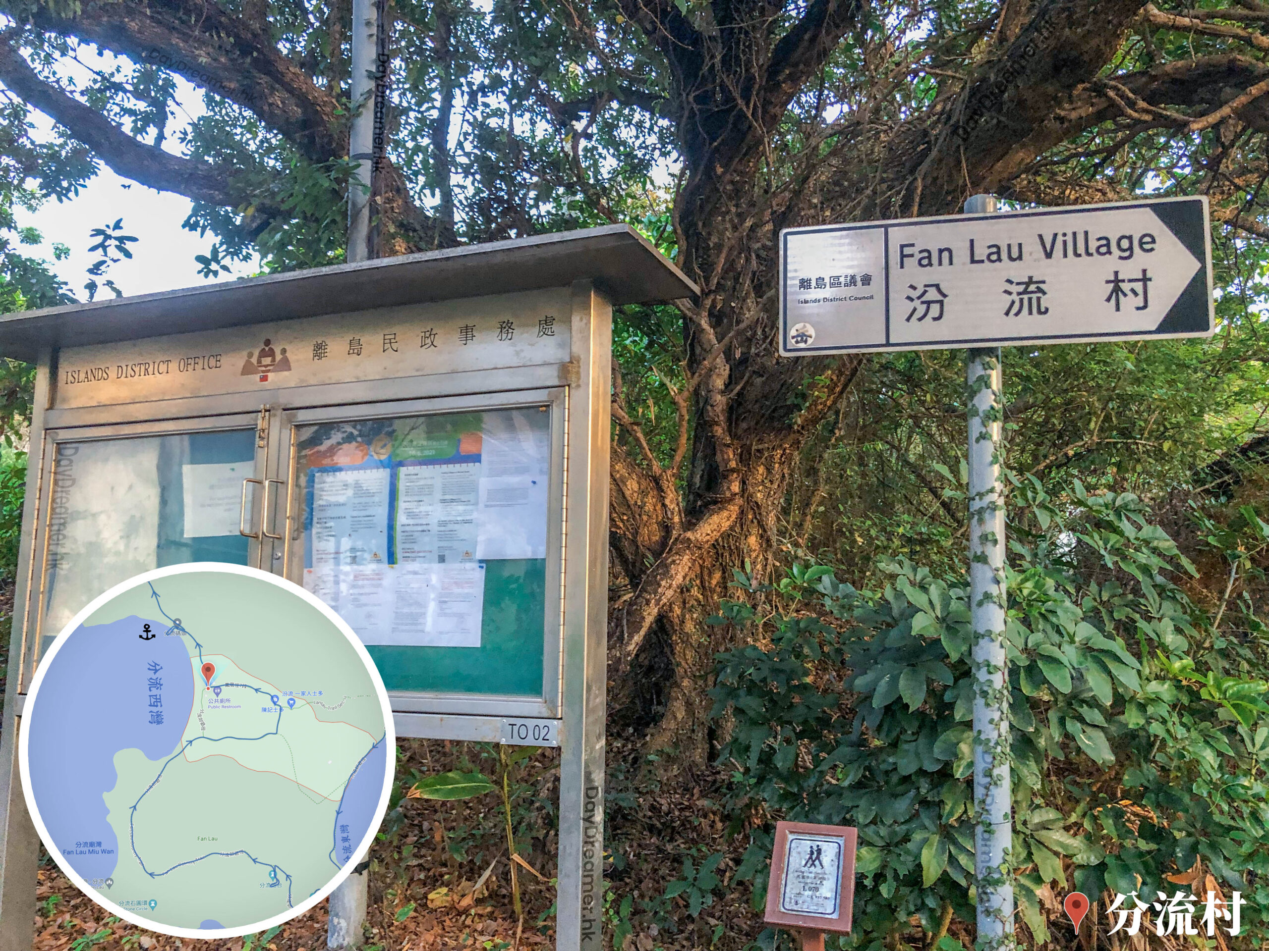 分流村 • 路牌