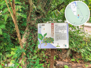 路牌 • 企嶺下樹徑《2》