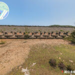 防波堤 • 錨形石堤《4》