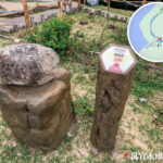 礫岩 • 橋咀洲 – 火山角