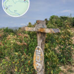 自拍 • 神器《2》