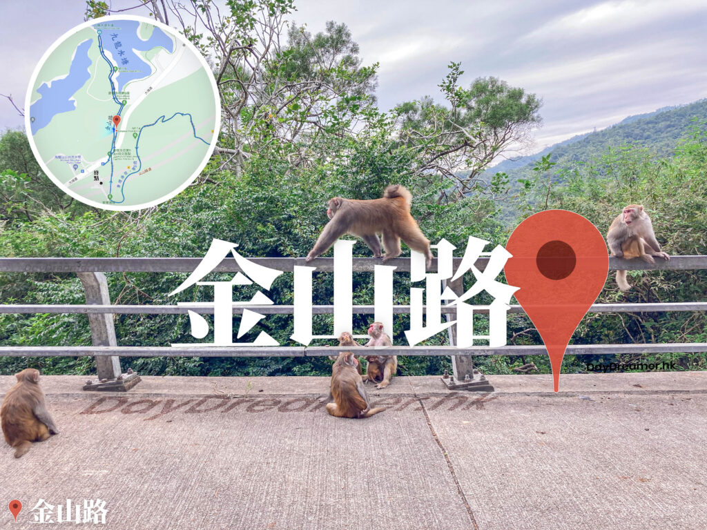 金山路《𤠣子出巡》