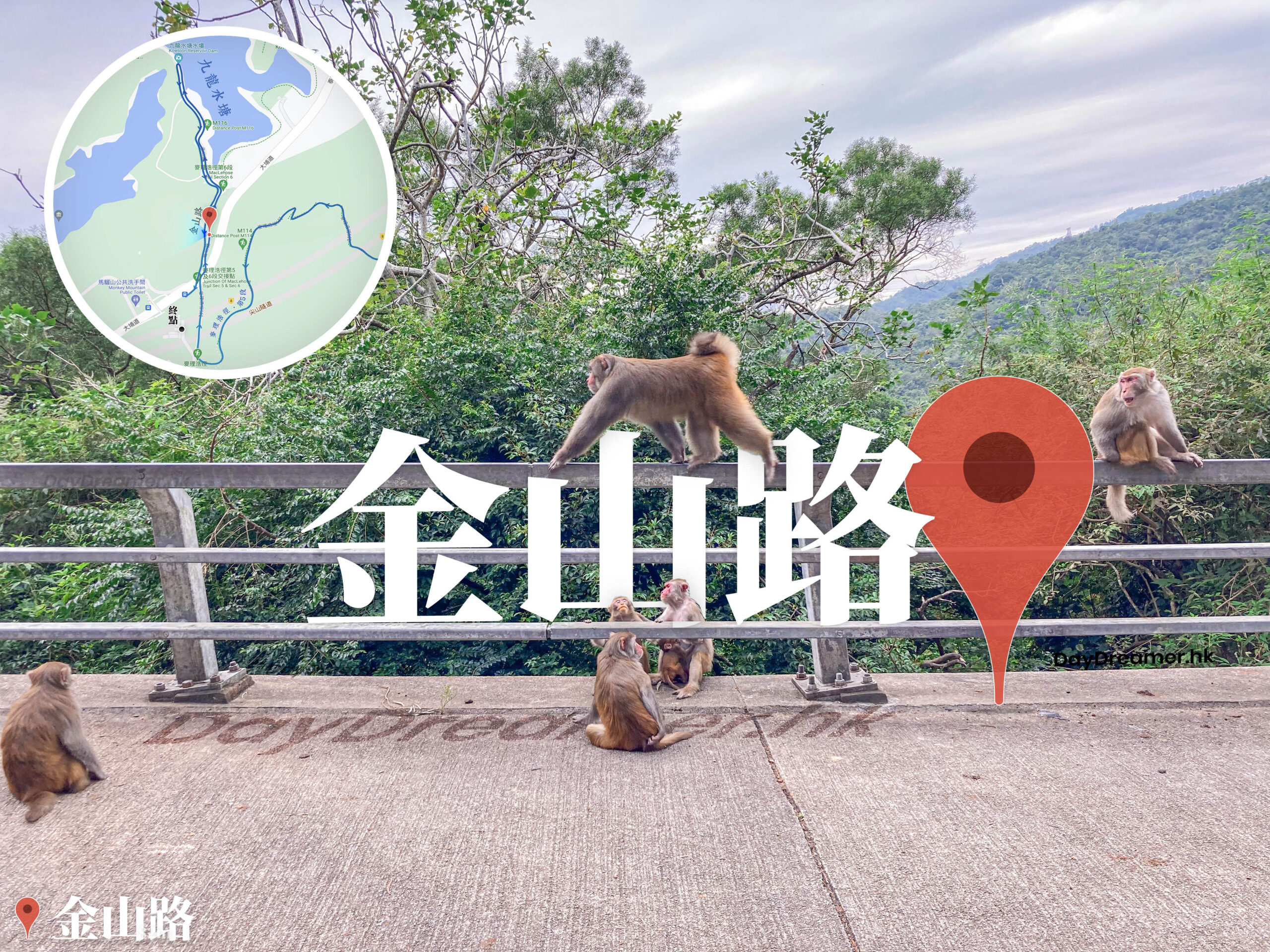 金山路《𤠣子出巡》