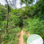 獅尾脊徑《2.1》