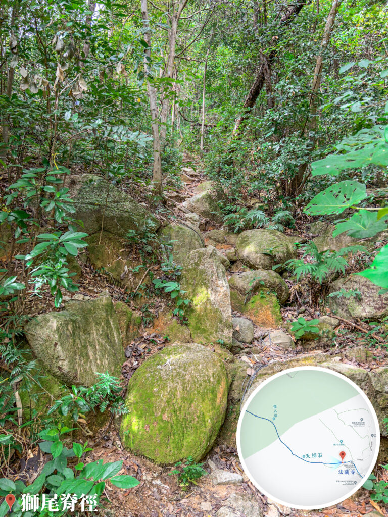 獅尾脊徑《2.2》