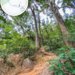 獅尾脊徑《2.4》