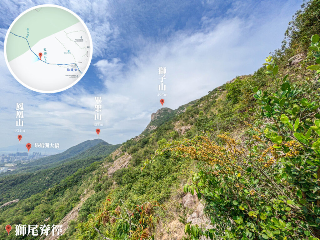 獅尾脊徑《4.1》