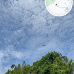 獅尾脊徑《直昇機》【壹】