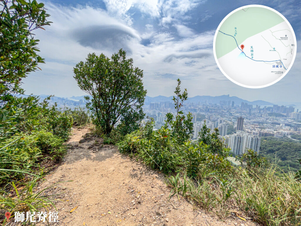 獅尾脊徑《孤獨的樹》