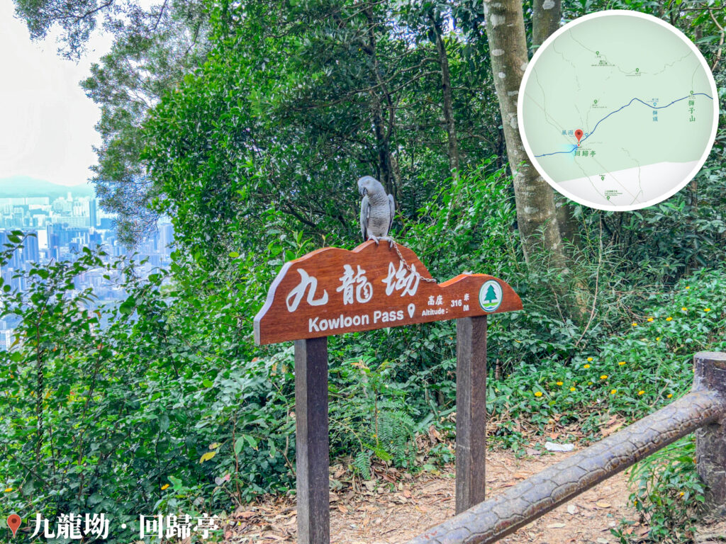 九龍坳 • 鸚鵡《1》