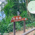 九龍坳 • 鸚鵡《1》