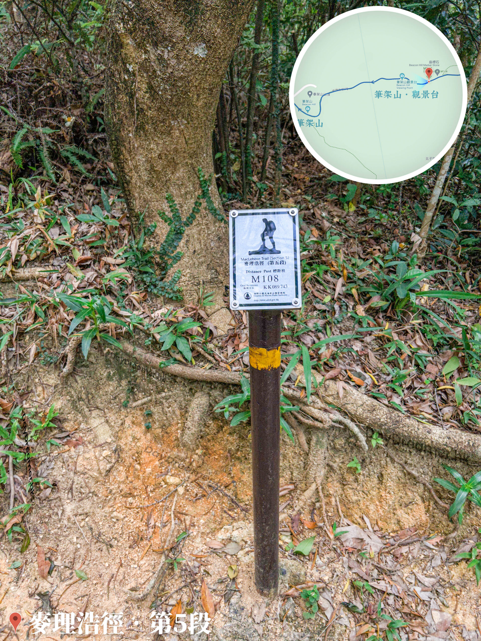 麥理浩徑 • 第5段《標距柱 • M108》【壹】