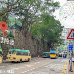 科士街 • 石牆樹《2》