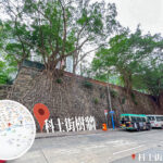 科士街 • 石牆樹《3》