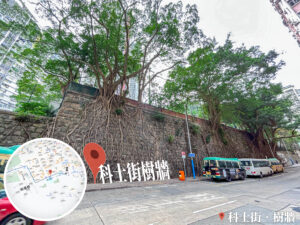 科士街 • 石牆樹《3》