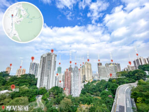 摩星嶺道 • 石屎森林《1》