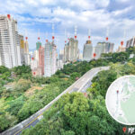 摩星嶺道 • 石屎森林《2》