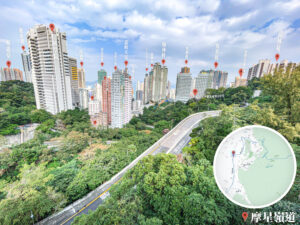 摩星嶺道 • 石屎森林《2》