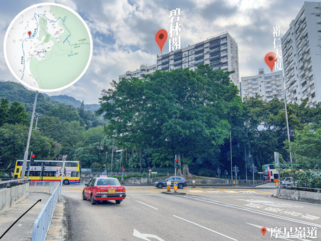 摩星嶺道《4 • 2》