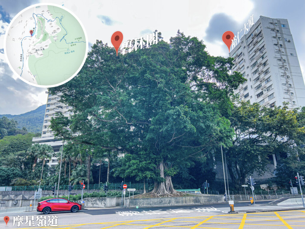 摩星嶺道《4 • 3》