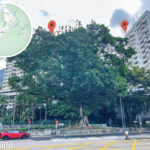 摩星嶺道《4 • 3》