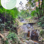 舊薄扶林道 / 嘉瑜園《2》