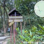 龍虎山郊野公園 • 中草藥園《1》