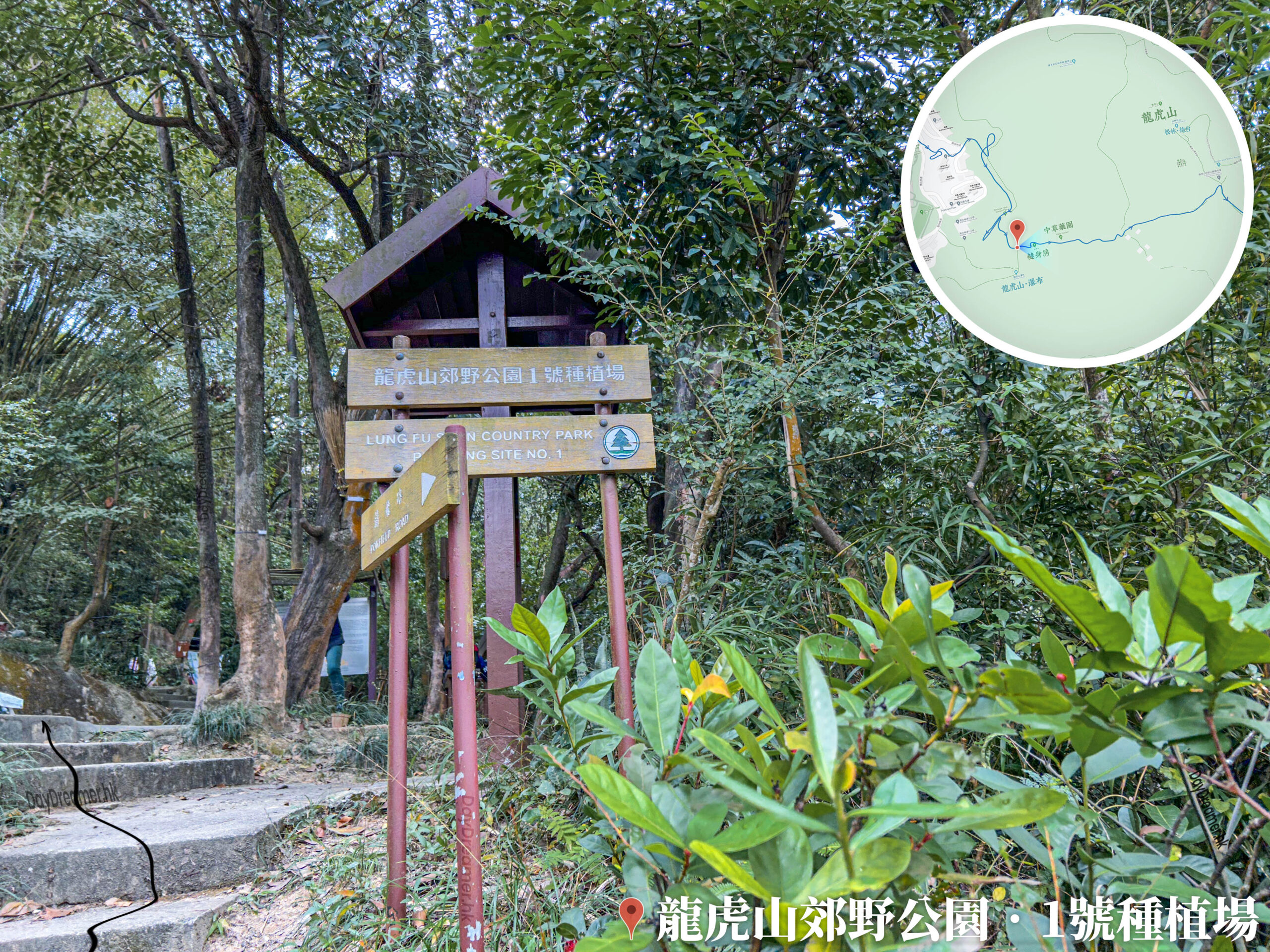 龍虎山郊野公園 • 中草藥園《1》