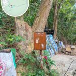 碧珊徑 • 健身設施《1》