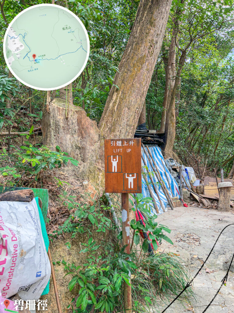 碧珊徑 • 健身設施《1》