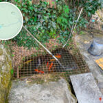 碧珊徑《腳下 • 錦鯉》