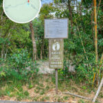 龍虎山 • 卵石徑《腳底按摩》