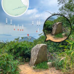 龍虎山健身徑 • 青蛙石🐸《1》