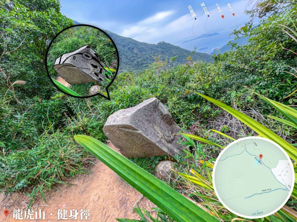 龍虎山健身徑 • 青蛙石🐸《3》