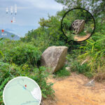 龍虎山健身徑 • 青蛙石🐸《4》